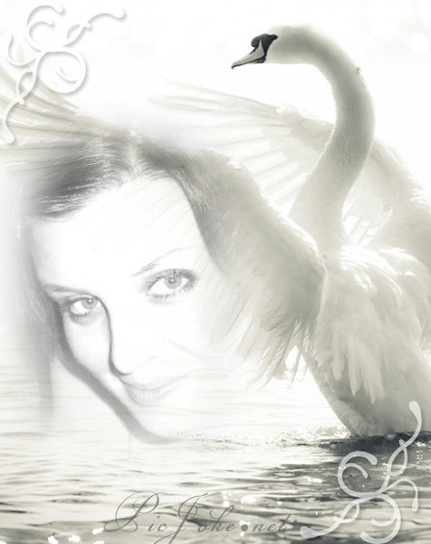 Марина Компанец