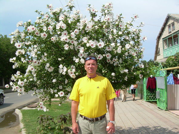 Анатолий Гридин