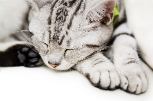 Самал ***************