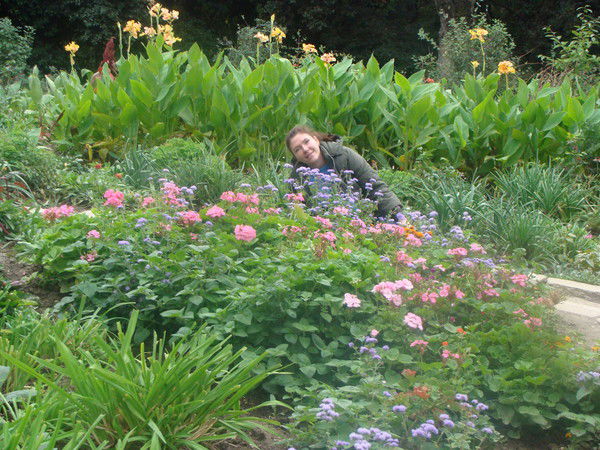 Виктория Сорокина