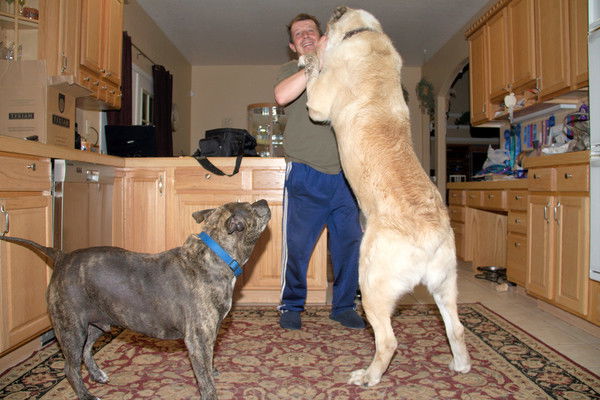 Александр Миронштейн