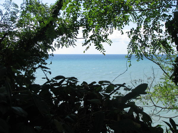 Наталья Данилова