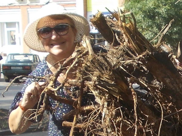 Наташа Войнова