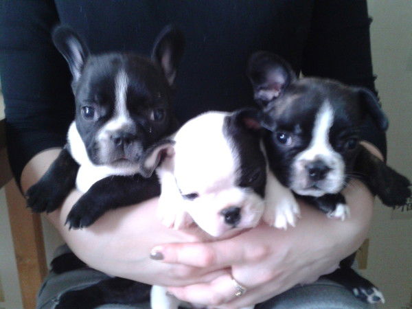 Мария Борисова