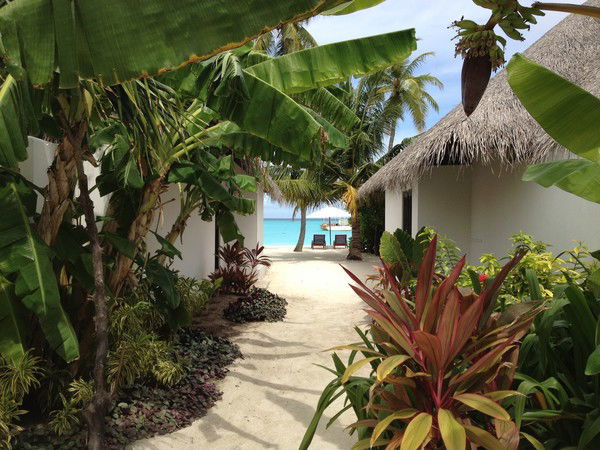 Юлия Луговая