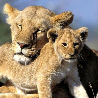 Лилия Смирнова