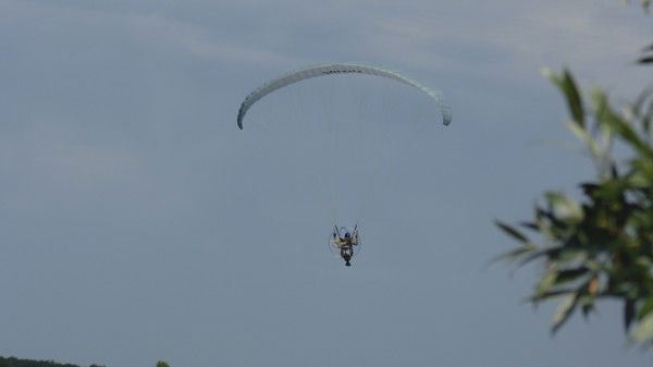 Алексей Куприянов