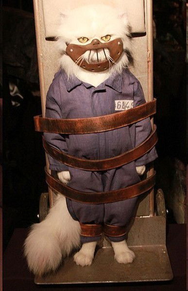 Юрий Солнцев