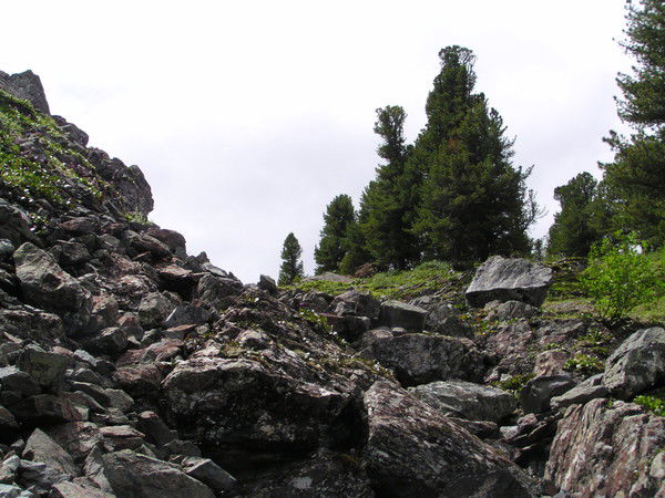 Алексей Журавлев