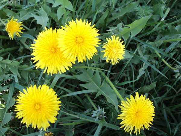 Татьяна Стоцкая