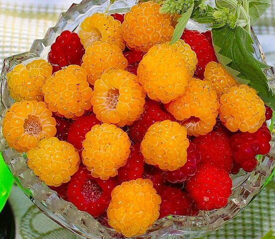 Наташенька Наташенька