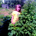 Елизавета Шумилова