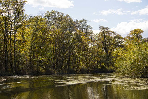 Зинаида ((Н))))