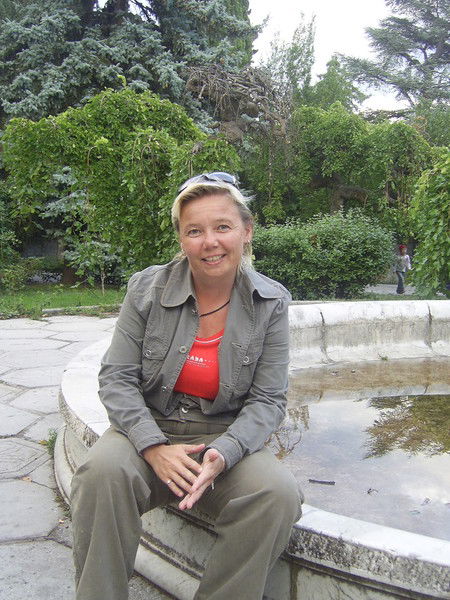 Мимоза Мимоза