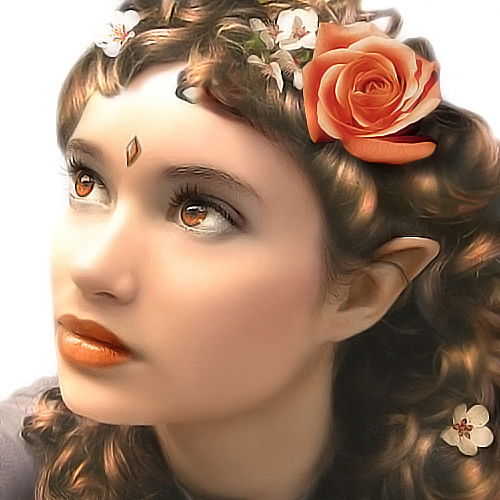 Инна Комарова