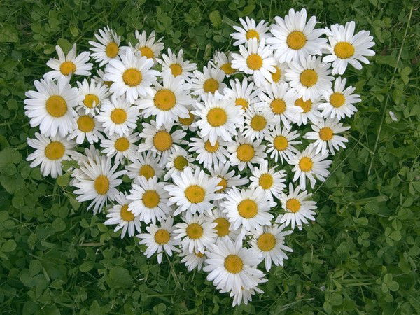 Арайлым Раймбекова