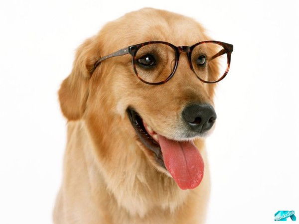 Динар Фаткуллин