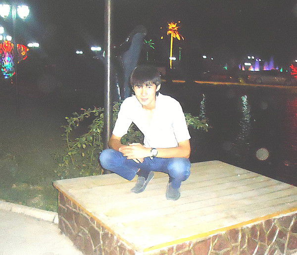 Shirzat *novogodnii*