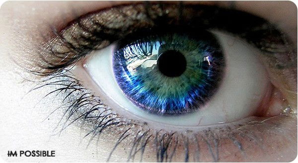 Елена Нюнькина