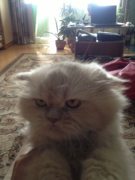 Галина Стукова