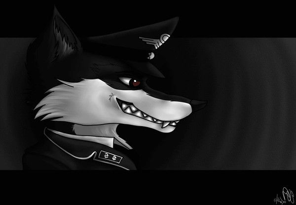 Владимир Истомин