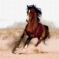 Екатерина Акатова