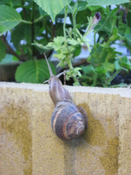 Валерий Белов