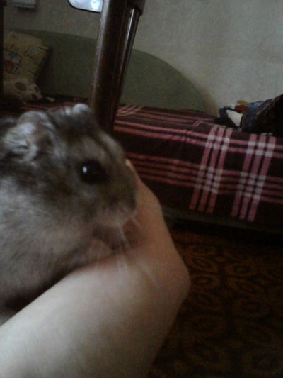 Виктория Сергеевна