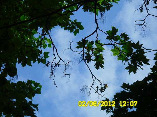 Татьяна Ларина