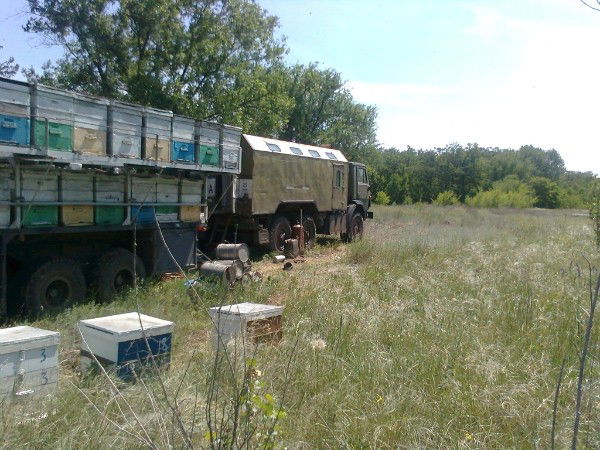 Владимир Кульчицкий