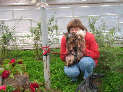 Алла Штайда