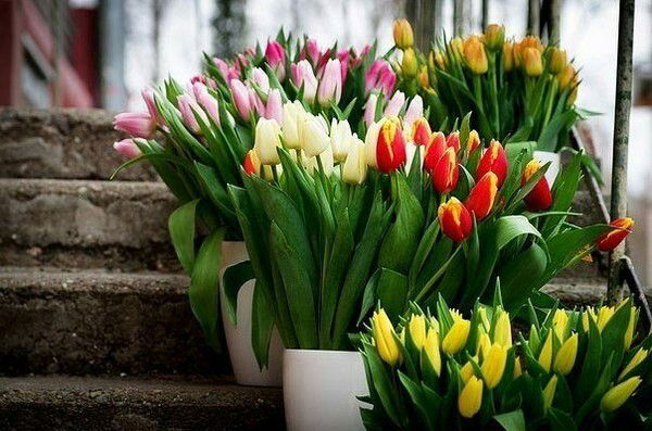 Алима Талгат