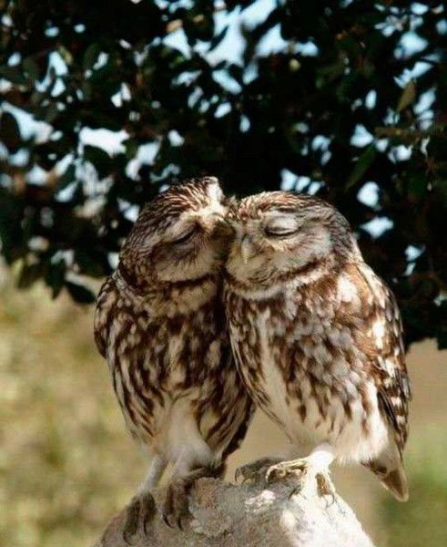 Марина Марченко