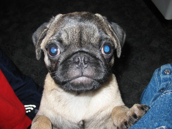 Неизвестно Неизвестно