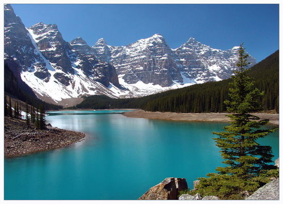 Вера Макарова