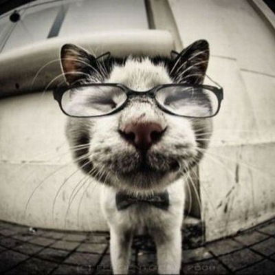 Валік Цикало