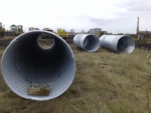 Ольга Заржецкая