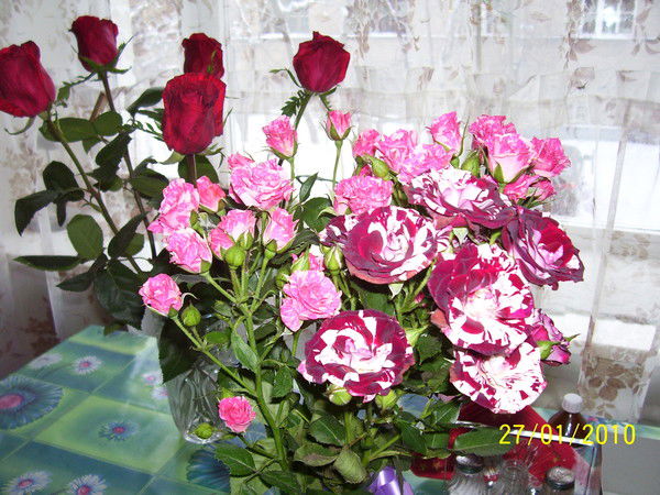 Екатерина Пирогова Великий Новгород