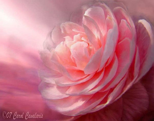 Жулдыз Абдыгалиева