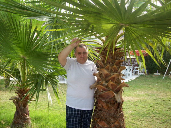 Владимир Перкин