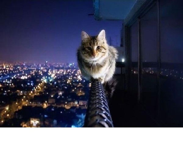 Димасик Дегтярев