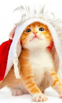 Саглара Рубашанова