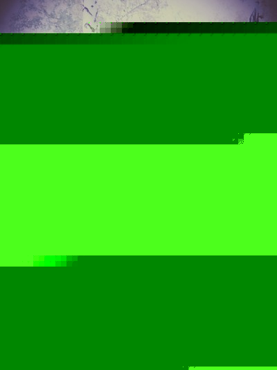 Алексей Аворькин