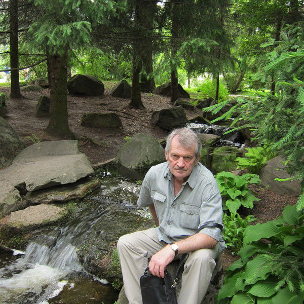 Владимир Ровный