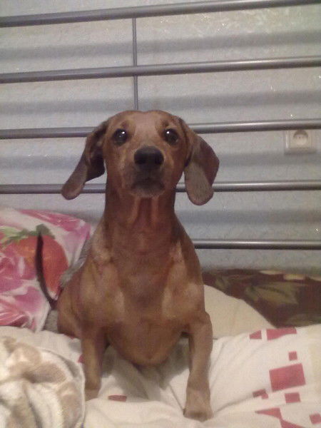 Ольга Борисова