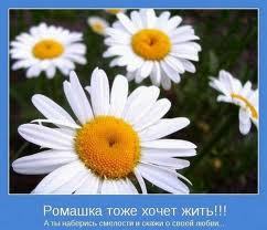 Татьяна Ульрих