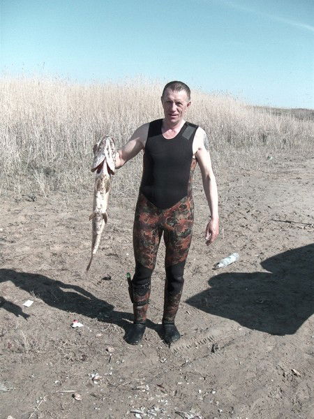 Сергей Евсеев