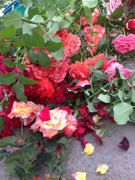 Кристина Шатилова