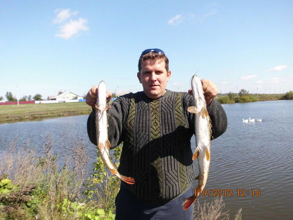 Александр Руднев