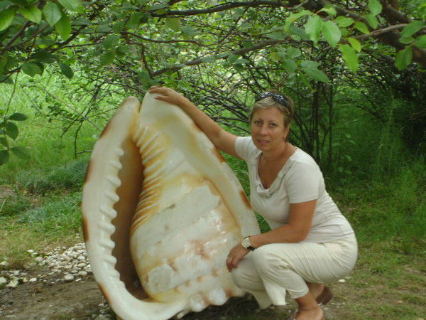 Татьяна Прашкэ